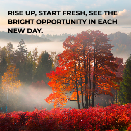 Rise up, start fresh, see the bright opportunity in each new day.
